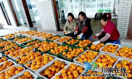 以“橙”相约!3日到泸州佳乐金街免费吃甜橙(图9) 以“橙”相约!3日到泸州佳乐金街免费吃甜橙(图9)
