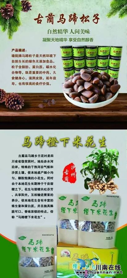 以“橙”相约!3日到泸州佳乐金街免费吃甜橙(图4) 以“橙”相约!3日到泸州佳乐金街免费吃甜橙(图4)