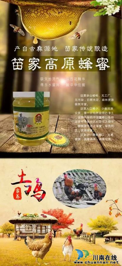 以“橙”相约!3日到泸州佳乐金街免费吃甜橙(图3) 以“橙”相约!3日到泸州佳乐金街免费吃甜橙(图3)
