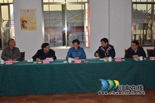 李登菊:合江脱贫攻坚要全省争一流全国争上流(图5) 李登菊:合江脱贫攻坚要全省争一流全国争上流(图5)