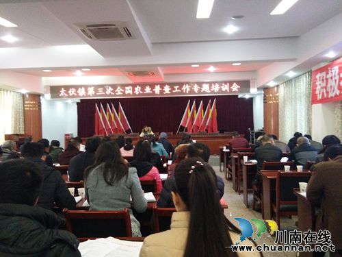 泸县太伏镇召开第三次全国农业普查工作专题培训会(图1)