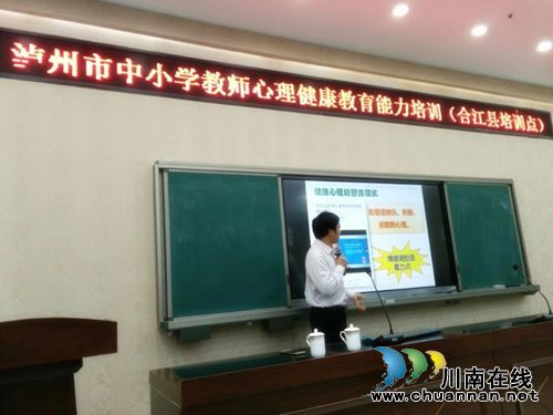 泸州举行中小学教师心理健康教育能力培训(图1)