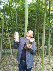 内江农家乐老板&nbsp;苦练7年酿出竹筒酒一片天下(图1)