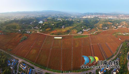 “多彩黄舣”摄影大赛 镜头记录黄舣新风景(图5) “多彩黄舣”摄影大赛 镜头记录黄舣新风景(图5)