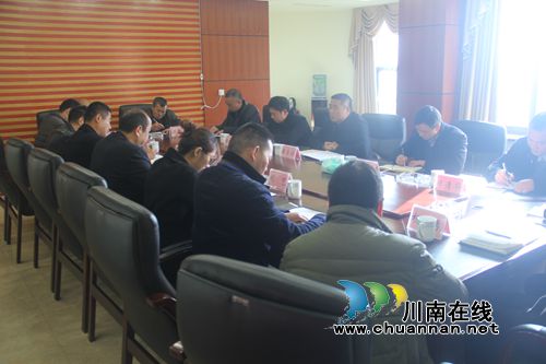 泸县县委书记薛学深到石桥镇开展调研工作(图1)