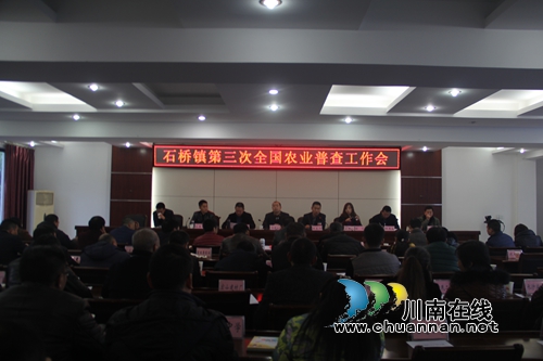 泸县石桥镇召开第三次全国农业普查工作会议(图1)