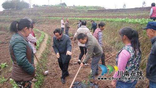 泸县云龙镇扶贫致富产业园项目落地生根(图1) 泸县云龙镇扶贫致富产业园项目落地生根(图1)