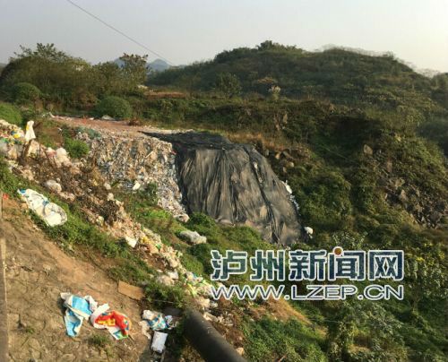 泸州一校园遇苦恼:垃圾堆成山 老鼠钻学生宿舍(图1) 泸州一校园遇苦恼:垃圾堆成山 老鼠钻学生宿舍(图1)