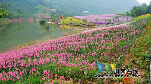 明年3月 到泸州花田酒地七彩玻璃栈道“探险”(图3) 明年3月 到泸州花田酒地七彩玻璃栈道“探险”(图3)