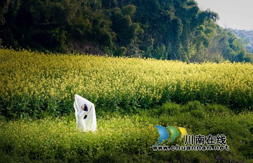 泸州江阳区首届“多彩黄舣”摄影大赛评选揭晓(图9) 泸州江阳区首届“多彩黄舣”摄影大赛评选揭晓(图9)