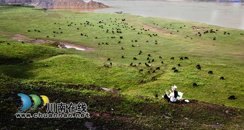 泸州江阳区首届“多彩黄舣”摄影大赛评选揭晓(图40) 泸州江阳区首届“多彩黄舣”摄影大赛评选揭晓(图40)