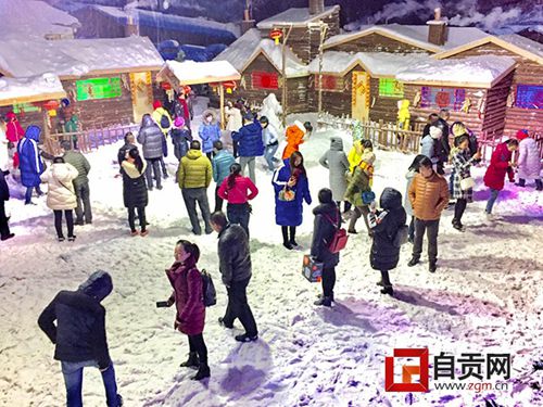 “自贡—哈尔滨冰雪嘉年华”亮相 人气爆棚!(图2) “自贡—哈尔滨冰雪嘉年华”亮相 人气爆棚!(图2)