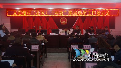 泸县立石镇召开村（社区）两委换届选举工作业务培训会(图1)