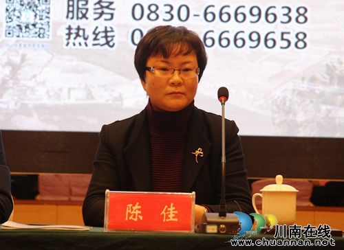 本月底 泸县南宋石刻走上舞台与市民“互动”(图3) 本月底 泸县南宋石刻走上舞台与市民“互动”(图3)