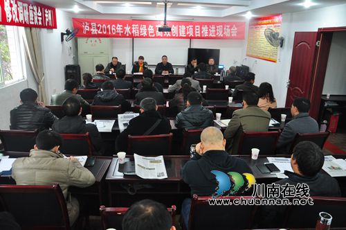 泸县召开2016水稻绿色高效创建项目推进现场会(图2) 泸县召开2016水稻绿色高效创建项目推进现场会(图2)