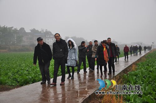 泸县召开2016水稻绿色高效创建项目推进现场会(图3) 泸县召开2016水稻绿色高效创建项目推进现场会(图3)