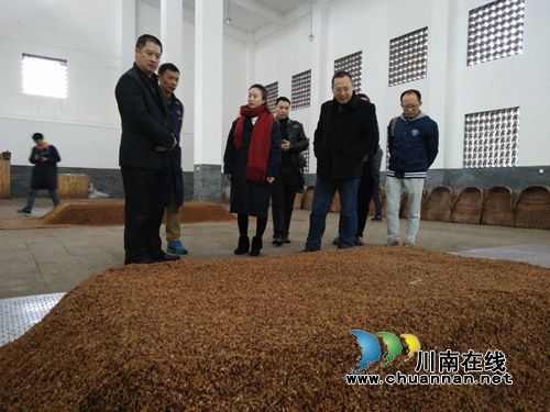 泸州创新创业大赛复赛项目专家到纳溪“巡诊”(图3) 泸州创新创业大赛复赛项目专家到纳溪“巡诊”(图3)