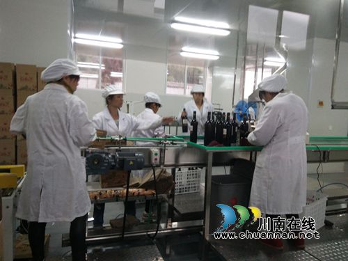 泸州创新创业大赛复赛项目专家到纳溪“巡诊”(图5) 泸州创新创业大赛复赛项目专家到纳溪“巡诊”(图5)