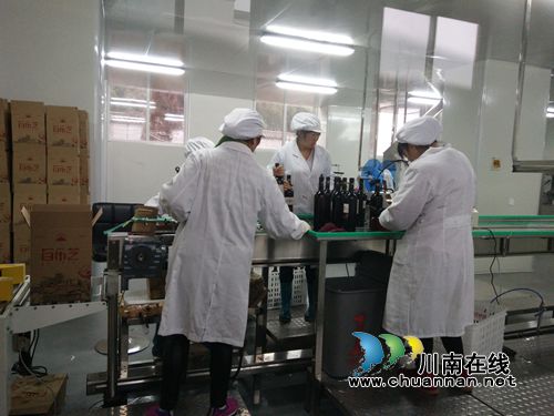 泸州创新创业大赛复赛项目专家到纳溪“巡诊”(图6) 泸州创新创业大赛复赛项目专家到纳溪“巡诊”(图6)