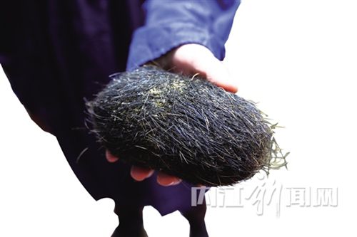 内江男子猪腹中取出怪蛋&nbsp;村民猜测为“猪宝”(图1)