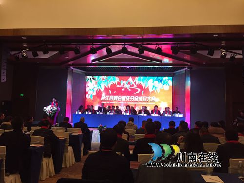 发展川渝两地新经济 合江商会重庆分会成立(图5) 发展川渝两地新经济 合江商会重庆分会成立(图5)