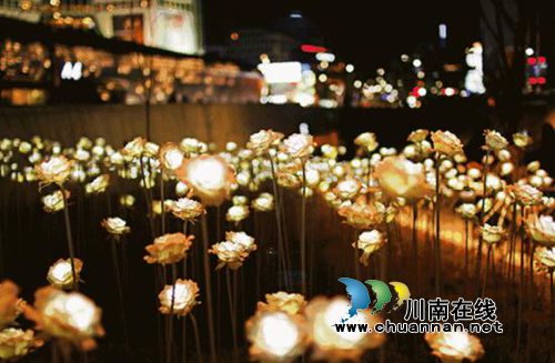 泸州首届炫彩灯光节美呆了！敞开心扉表白女神(图1)