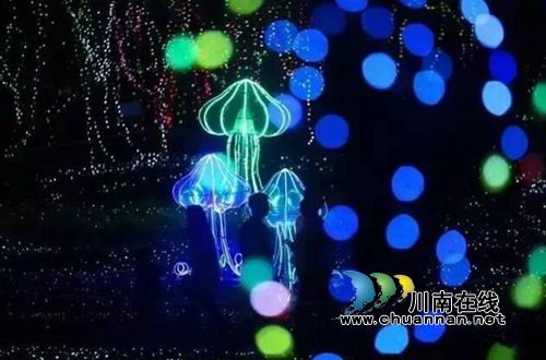 泸州首届炫彩灯光节美呆了！敞开心扉表白女神(图8)
