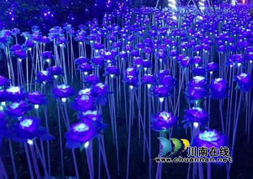 泸州首届炫彩灯光节美呆了！敞开心扉表白女神(图22)