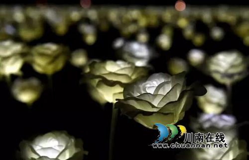 泸州首届炫彩灯光节美呆了！敞开心扉表白女神(图21)