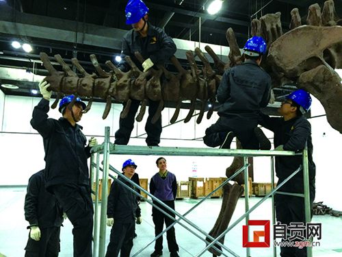 自贡恐龙到达鲁迅故里 元旦将亮相浙江绍兴(图1) 自贡恐龙到达鲁迅故里 元旦将亮相浙江绍兴(图1)