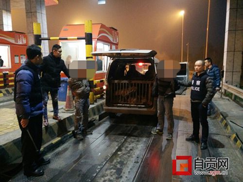 自贡破获跨市流窜盗犬案件　解救家犬十余只(图1)