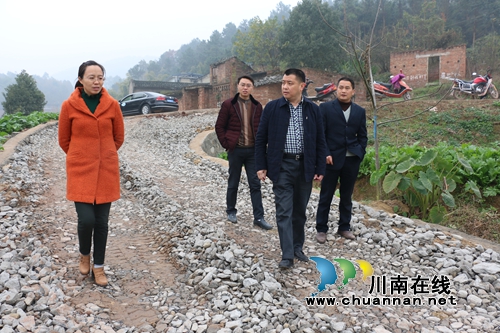 李镇到泸县潮河镇调研社社通水泥路建设工作(图1)