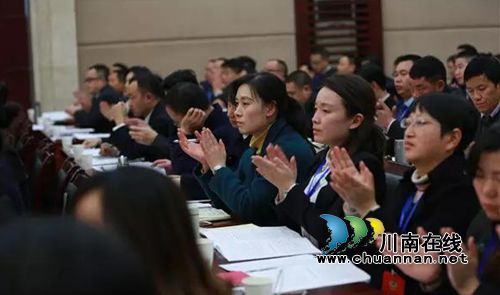 泸州市江阳区九届人大一次会议隆重开幕(图12)