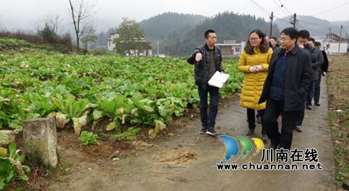 省国土资源厅到古蔺调研永久基本农田划定工作(图4) 省国土资源厅到古蔺调研永久基本农田划定工作(图4)