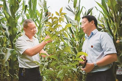 四川科普扶贫&nbsp;三驾马车助力老乡精准脱贫(图2)