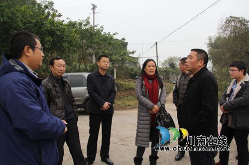 薛学深调研云龙镇水渠配套与节水改造工程项目(图2) 薛学深调研云龙镇水渠配套与节水改造工程项目(图2)