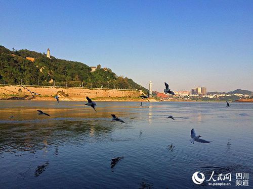 打造长江经济带战略腹地 四川的机遇与担当(图2) 打造长江经济带战略腹地 四川的机遇与担当(图2)