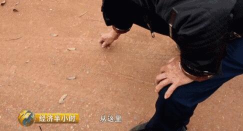 央视曝宜宾农村公路内幕:骗补30万少修300米(图2) 央视曝宜宾农村公路内幕:骗补30万少修300米(图2)