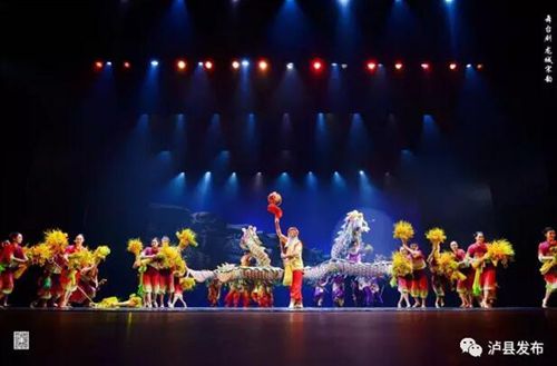 泸县成立中国东方文化研究会龙文化研究院(图17) 泸县成立中国东方文化研究会龙文化研究院(图17)