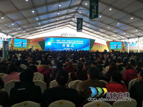 中国（泸州）首届农交会开幕&nbsp;近千商家竞相“献宝”(图2)