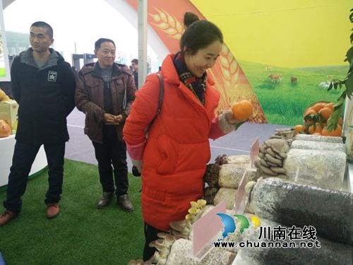 中国（泸州）首届农交会开幕&nbsp;近千商家竞相“献宝”(图15)
