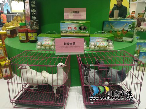 中国（泸州）首届农交会开幕&nbsp;近千商家竞相“献宝”(图13)