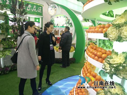 中国（泸州）首届农交会开幕&nbsp;近千商家竞相“献宝”(图20)