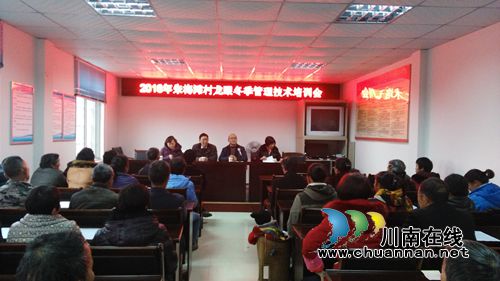 泸县科知局邀请专家到朱梅滩村开展龙眼冬季种植技术培训(图1)