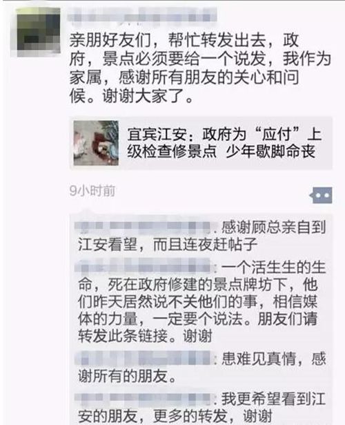 少年惨死江安景区政府称“无责” 家属讨公道(图14) 少年惨死江安景区政府称“无责” 家属讨公道(图14)