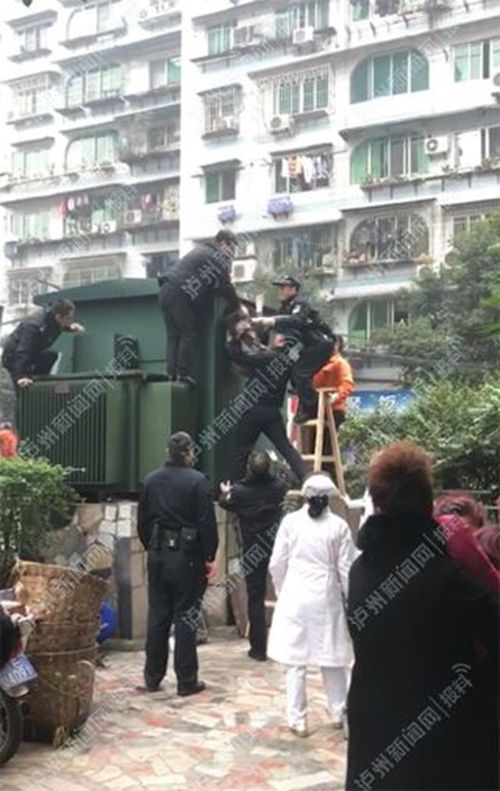 泸州13岁女孩17楼跳下身亡 母亲当场昏厥(图1) 泸州13岁女孩17楼跳下身亡 母亲当场昏厥(图1)