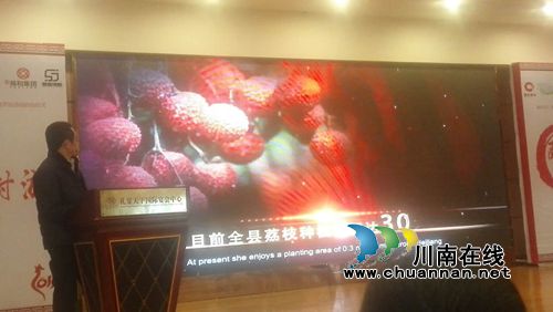 泸州合江入列重庆“醉美乡村游”拍摄(图1)