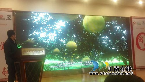 泸州合江入列重庆“醉美乡村游”拍摄(图4)