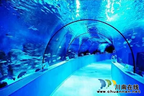 泸州:世纪城LOFT公寓开盘 不再“一层不变”(图10) 泸州:世纪城LOFT公寓开盘 不再“一层不变”(图10)