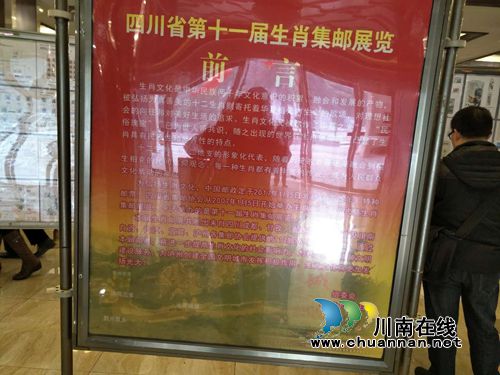 泸州市举办2017《丁酉年》生肖邮票首发仪式(图20)